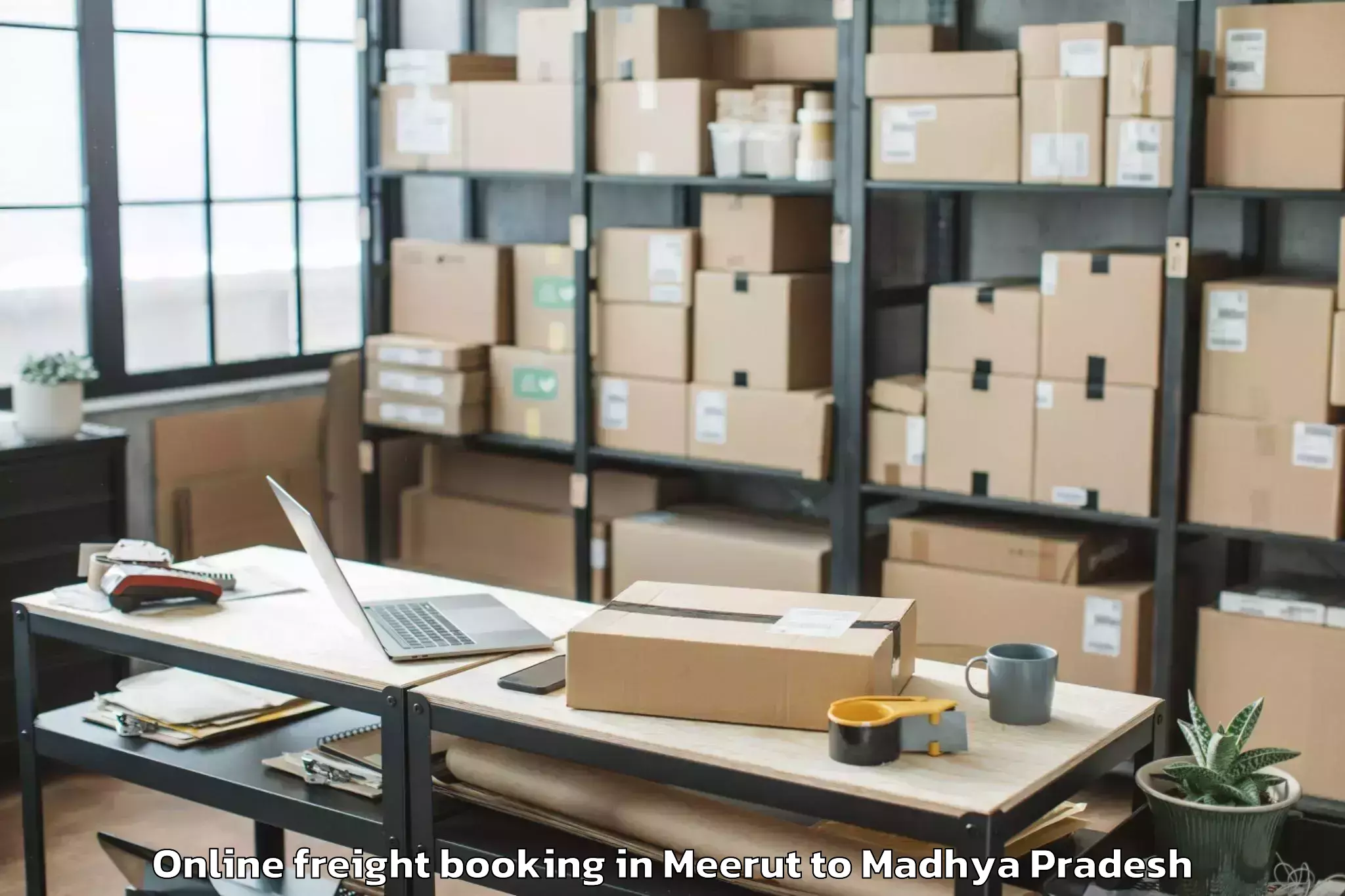 Book Meerut to Thikri Online Freight Booking Online